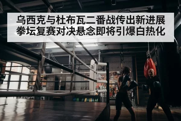 boxer training