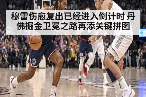 穆雷伤愈复出已经进入倒计时 丹佛掘金卫冕之路再添关键拼图
